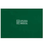 PAPEL LUSTRINA VERDE BANDERA
